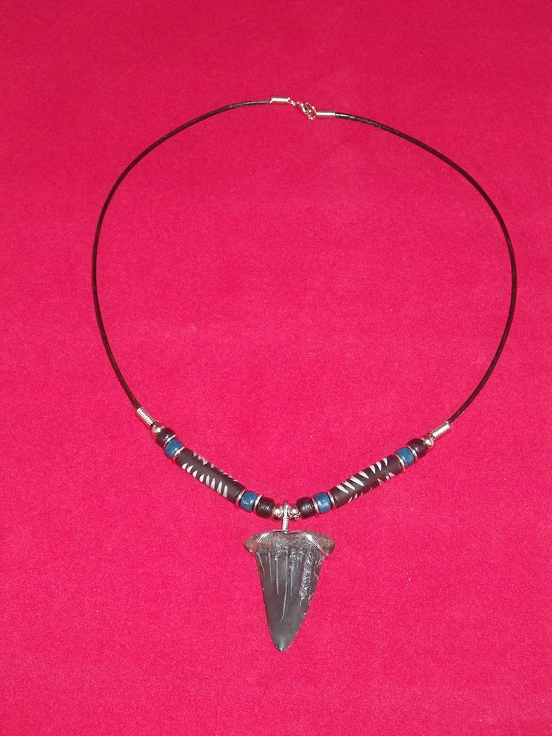 Real Mako Shark Tooth Pendant Surfer Necklace for India | Ubuy